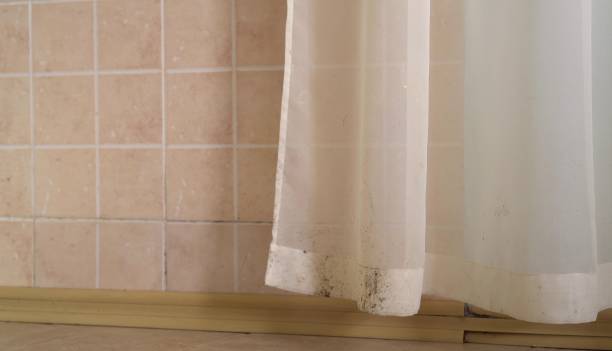 Mold Remediation for Rental Properties in North Boston, NY